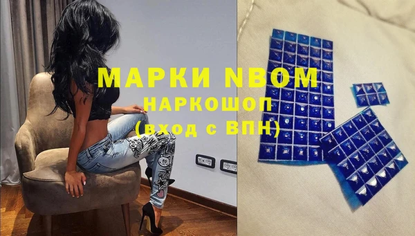 амф Верея