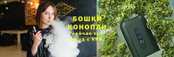 амф Верея